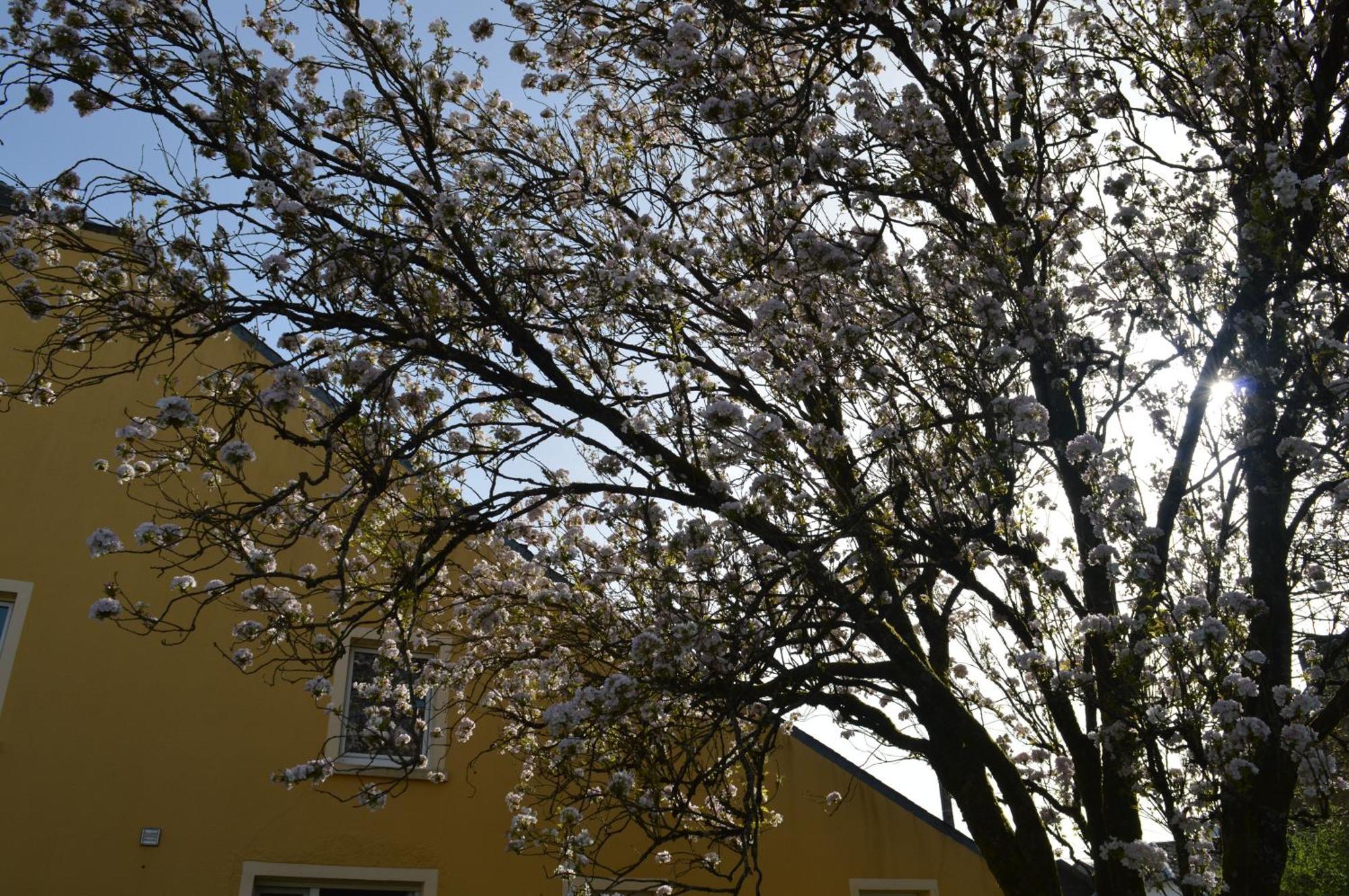 Chez Nous Villa Chiny Exteriör bild