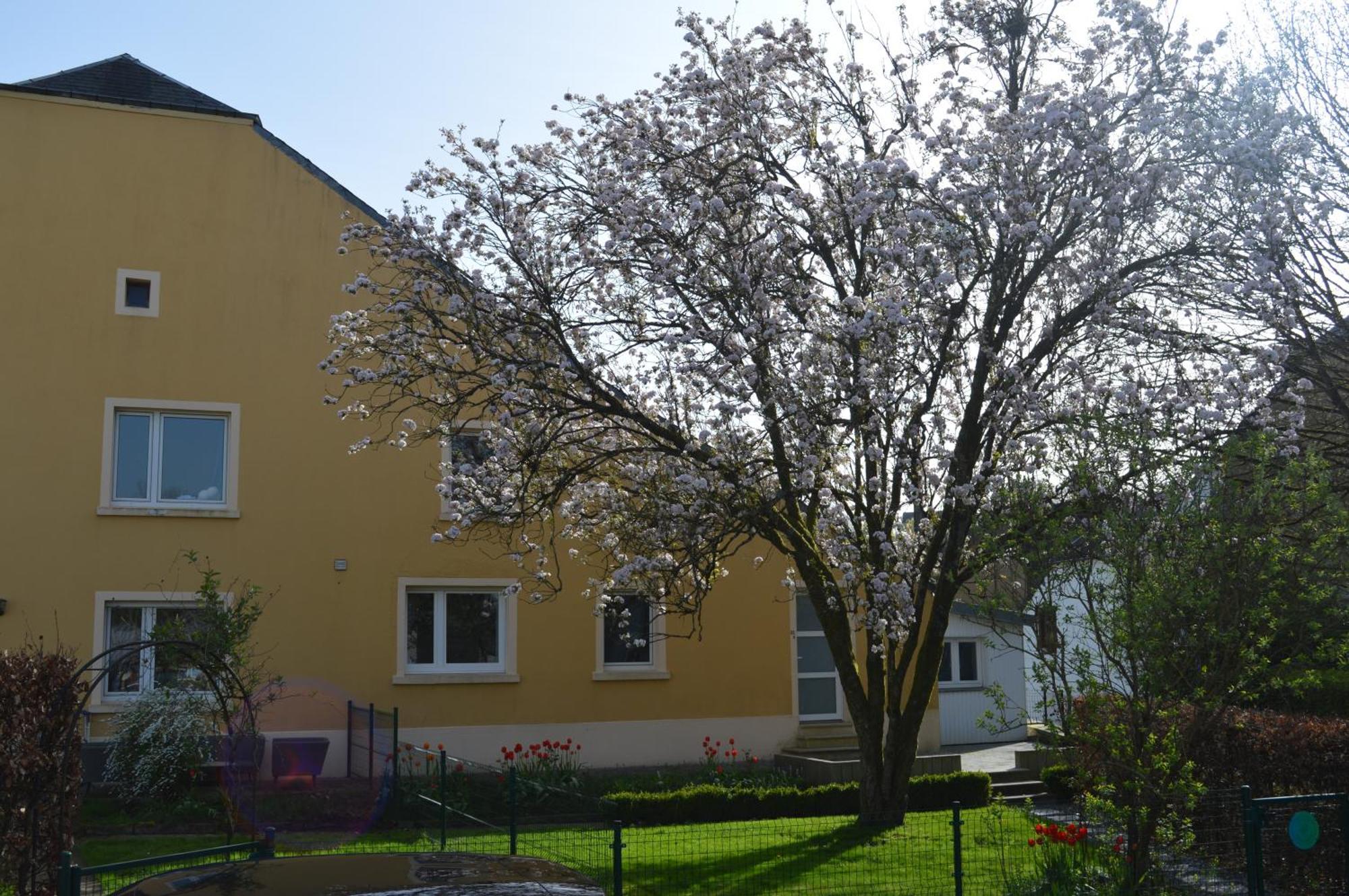 Chez Nous Villa Chiny Exteriör bild